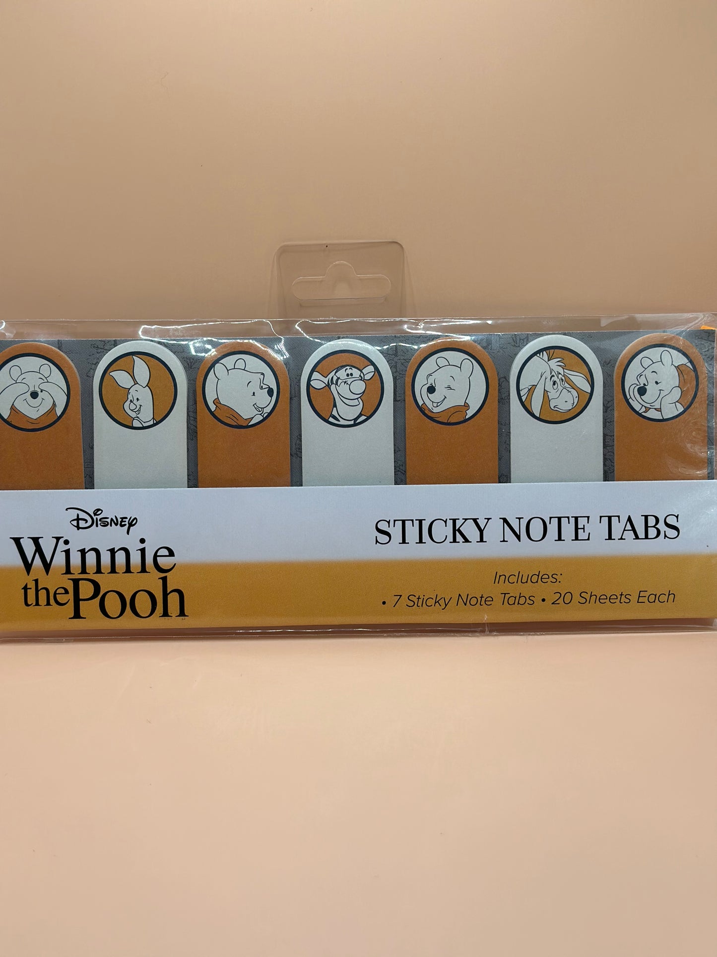 Winnie the Pooh Sticky Notes